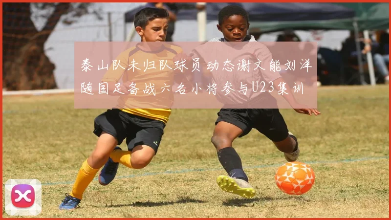 泰山队未归队球员动态谢文能刘洋随国足备战六名小将参与U23集训